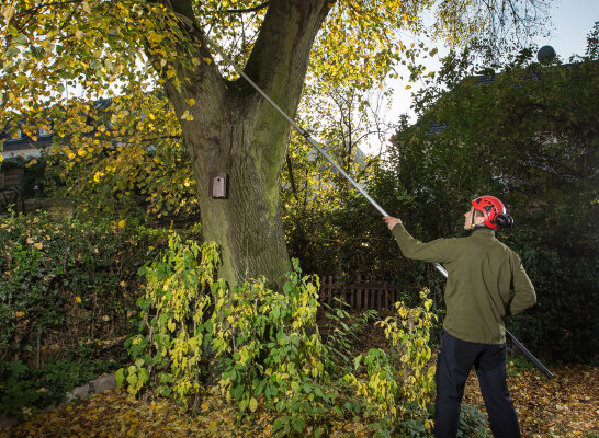 Teleskopwerkzeuge im Garten: Auswahl, Anwendung und Herbstarbeiten - Teleskopwerkzeuge: Ratgeber für Garten &amp; Herbst