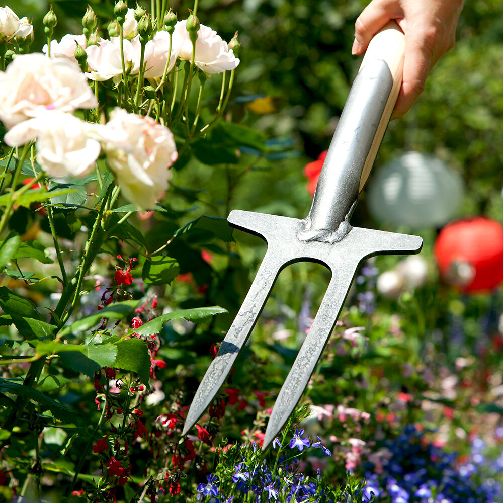Rosengabeln im Garten: Rosenboden lockern, ohne die Wurzeln unnötig zu stören - Rosengabeln richtig einsetzen: Rosenboden schonend lockern