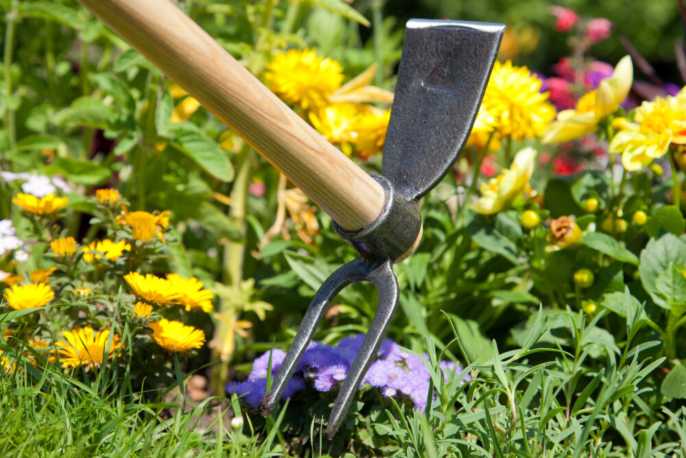 Welche Gartenhacke für welche Arbeit? Der BAFORGA-Ratgeber - Welche Gartenhacke wofür? | Ratgeber BAFORGA