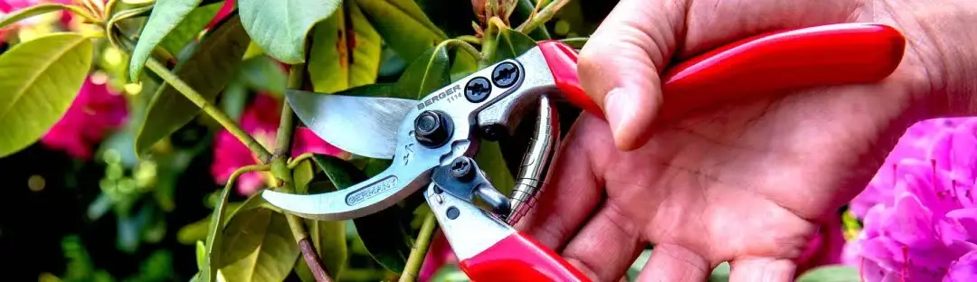 Scheren und Sägen für den effektiven Einsatz in Garten und Forst von BERGER