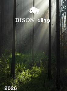 BISON Forstwerkzeuge 2026